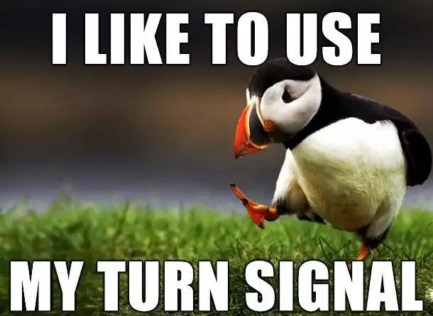 LIKE TO USE MY TIIHN SIENA