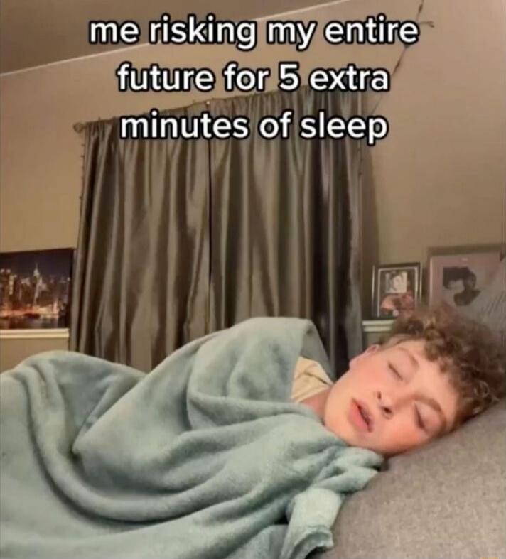 me risking my entire future for 5 extra minutes of sleep