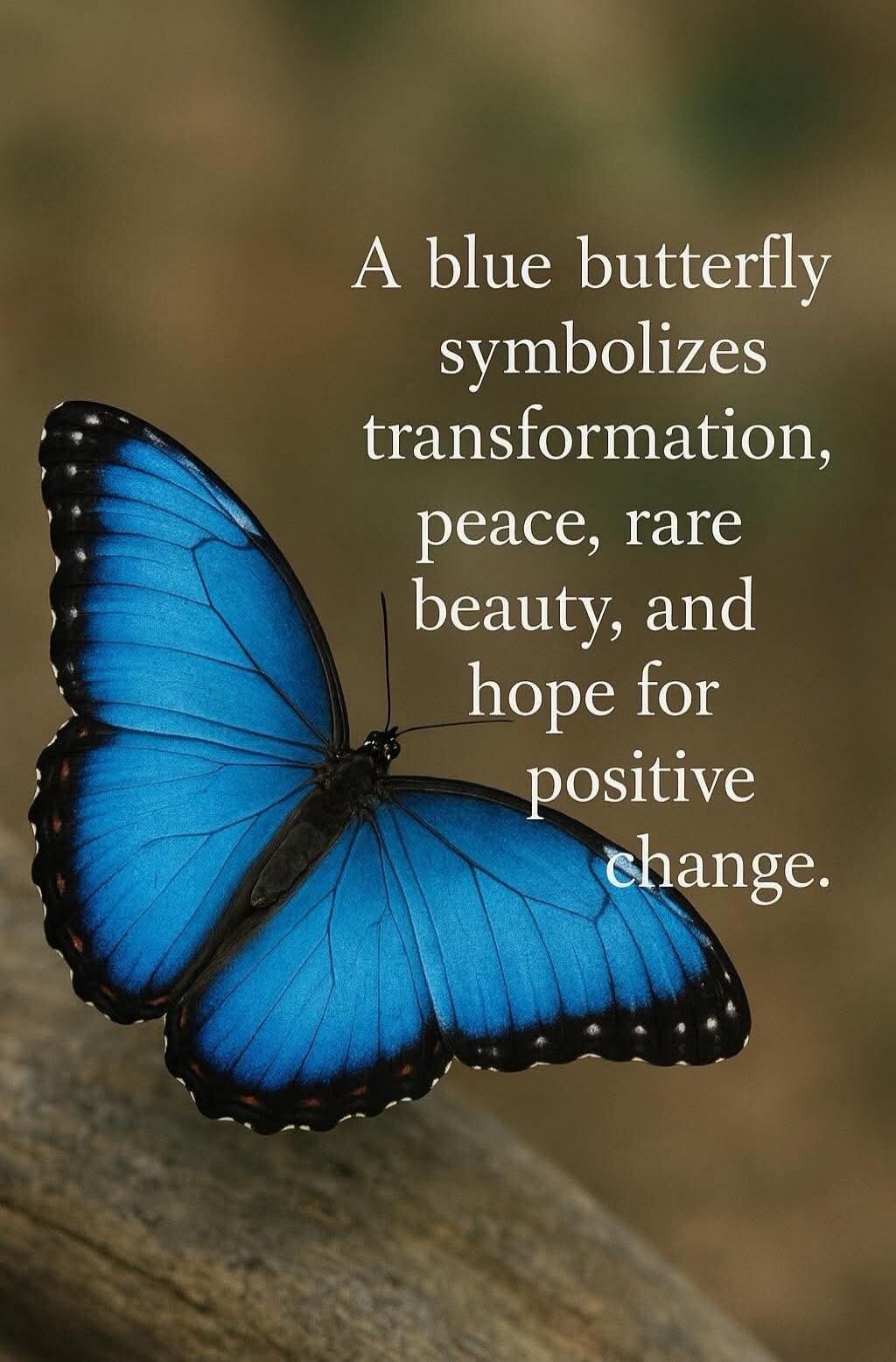 A blue butterfly symbolizes transformation, peace, rare beauty, and hope for positive change.
