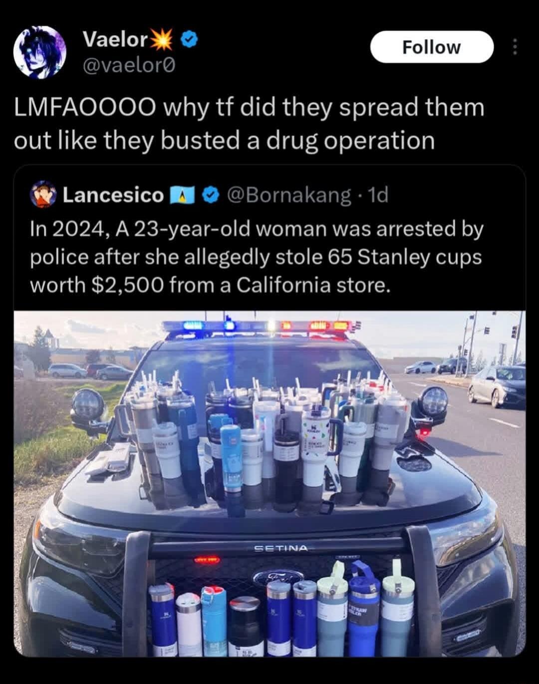 LMFAOOOO why tf did they spread them out like they busted a drug operation. In 2024, A 23-year-old woman was arrested by police after she allegedly stole 65 Stanley cups worth $2,500 from a California store.