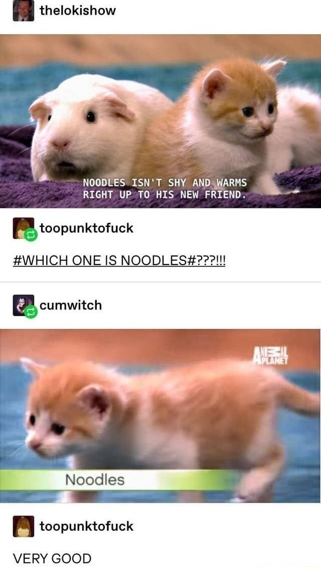 thelokishow NOODUES ISNT SHY AMDUARHS RIGHT UP TO HIS NEW FRIEND utoopunktofuck WHICH ONE IS NOODLES2 E cumwitch H toopunktofuck VERY GOOD