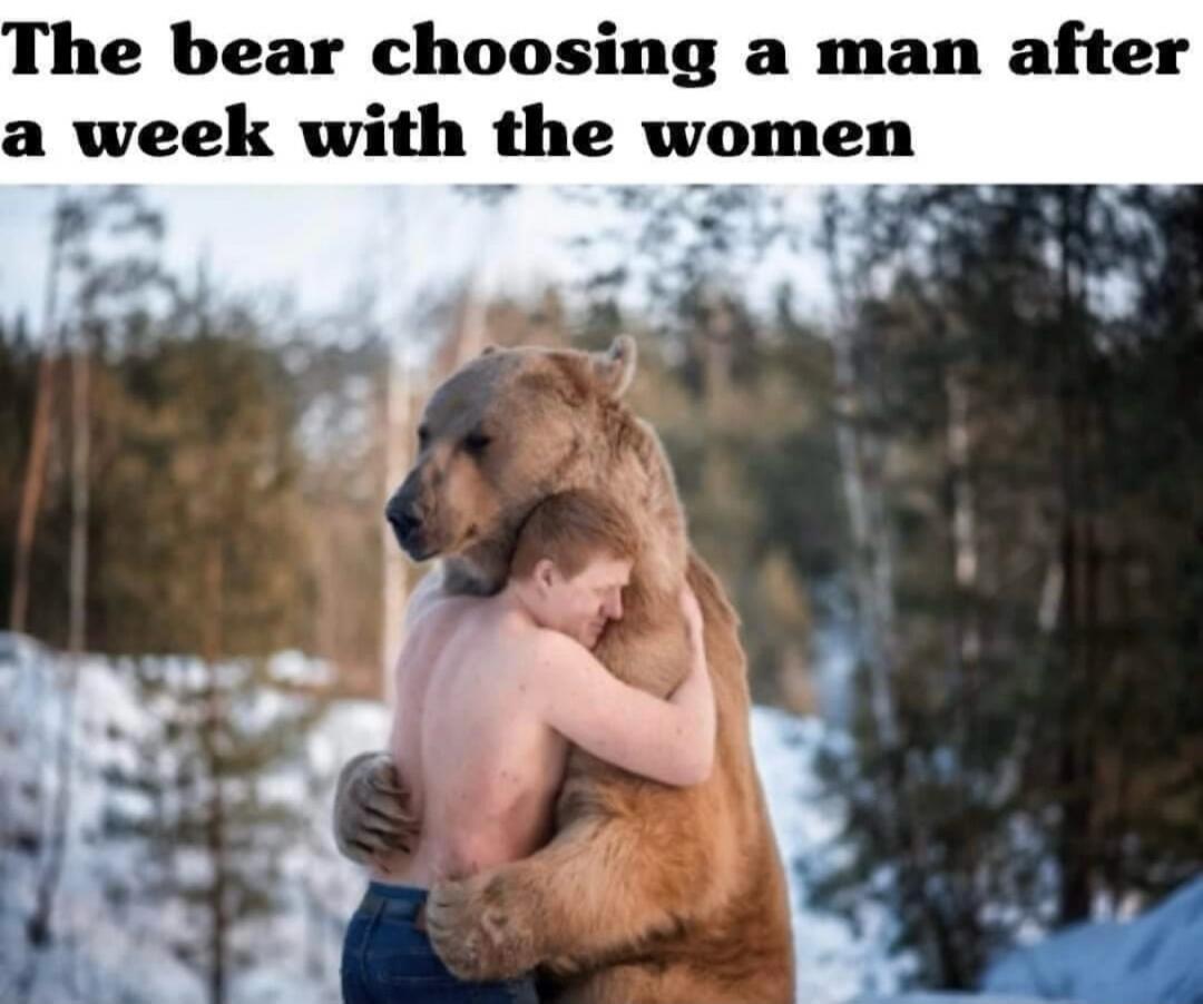 The bear choosing a man after a week with the women