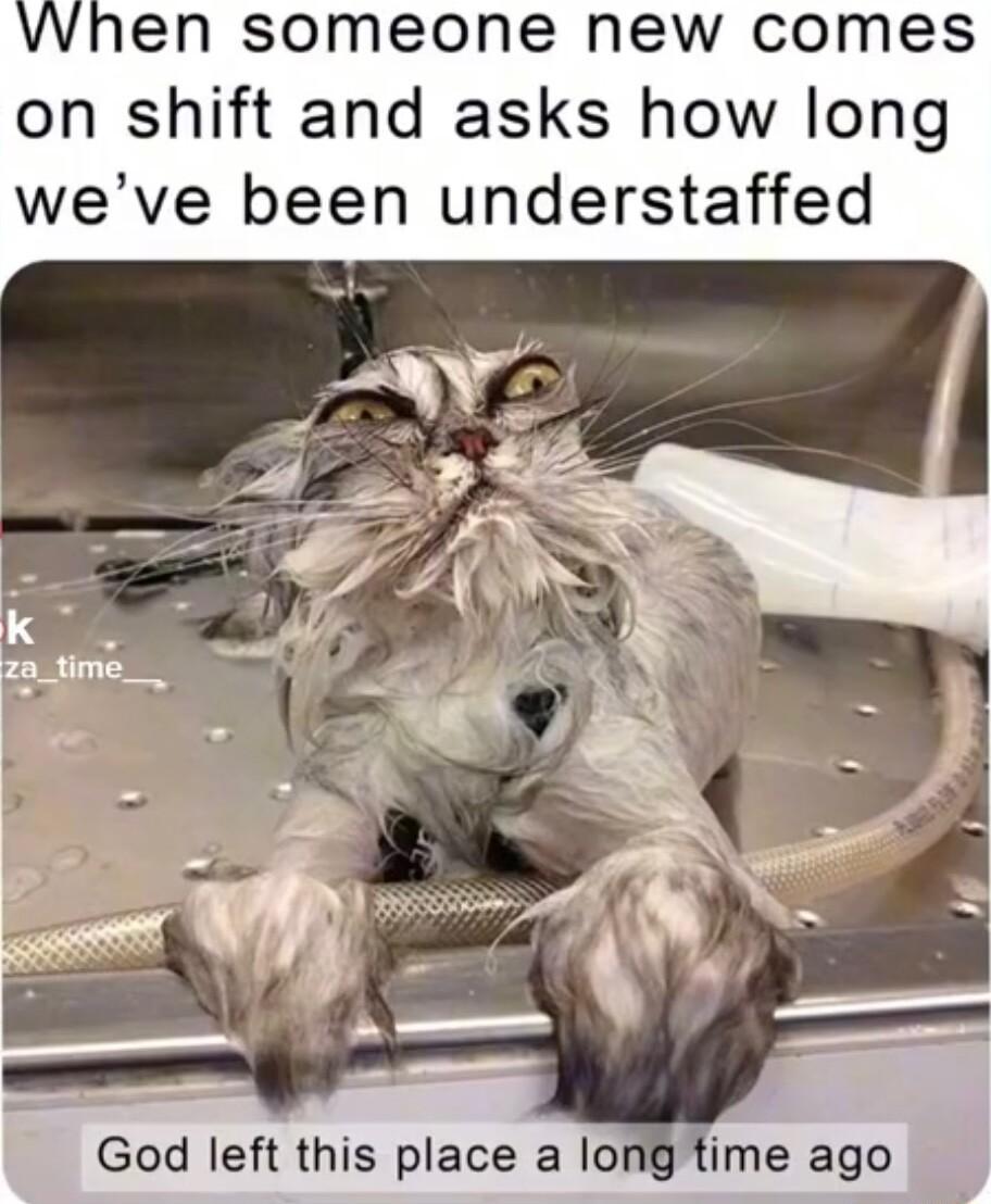 When someone new comes on shift and asks how long weve been understaffed