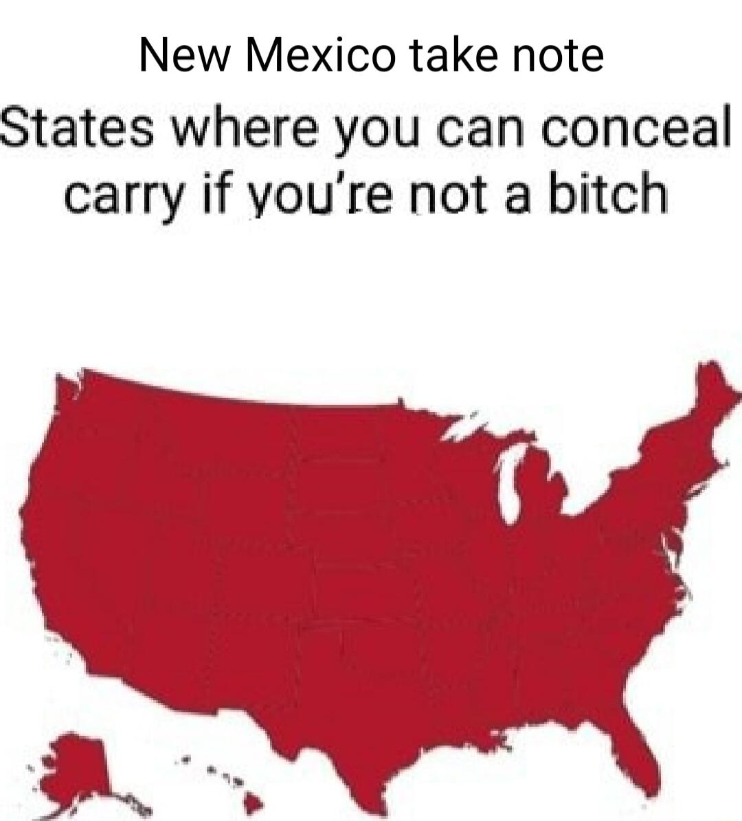 New Mexico take note States where you can conceal carry if youre not a bitch