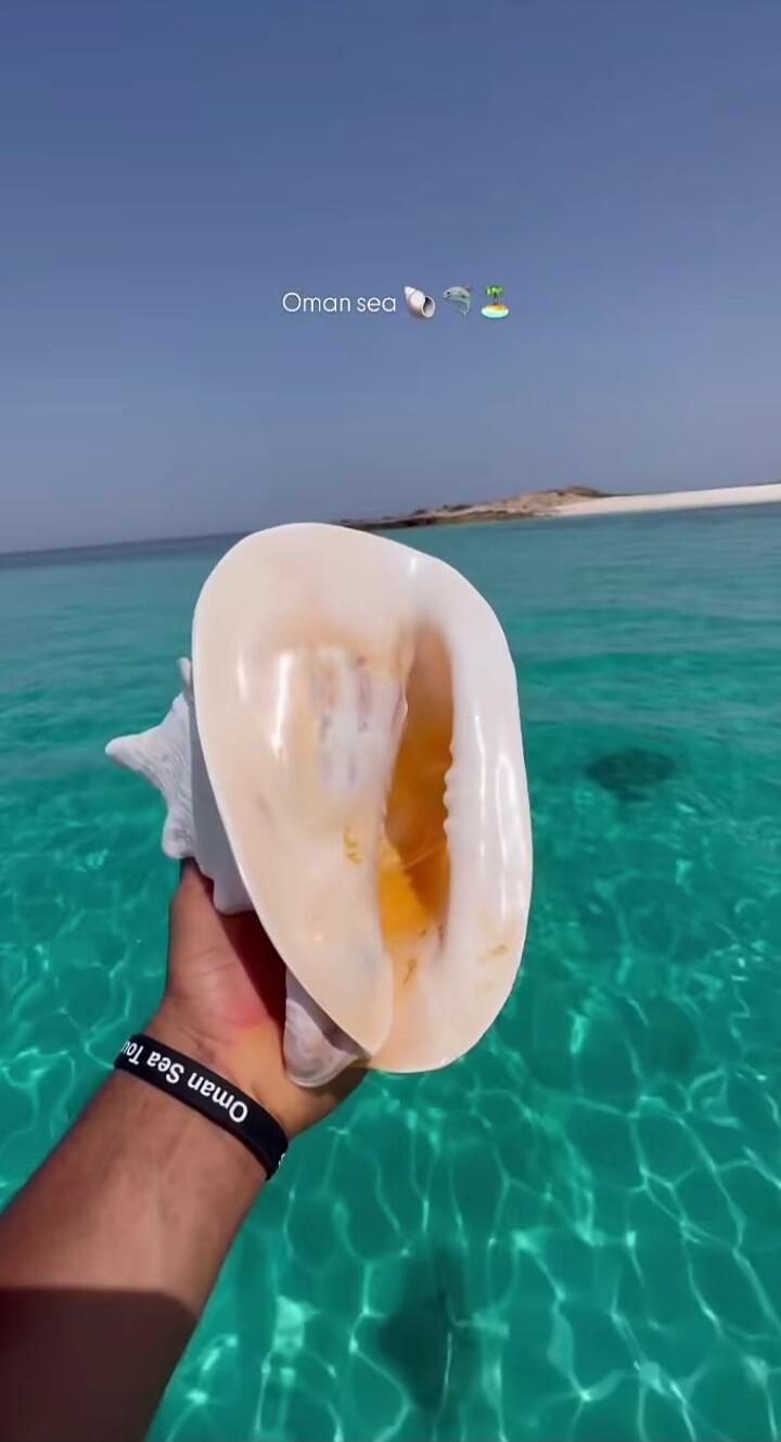 Oman sea 🐚🐠🏝
