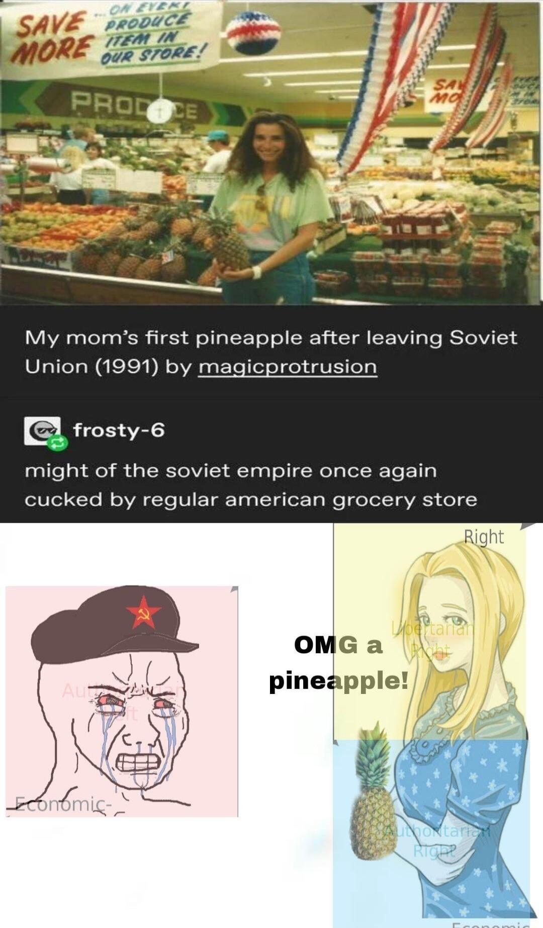 prODUCE SAV i MORE 2sec My moms first pineapple after leaving Soviet Union 1991 by magicprotrusion frosty 6 might of the soviet empire once again cked by regular american grocery store OMG a pineapple