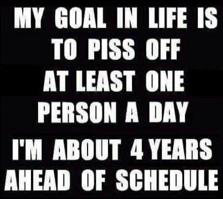 MY GOAL IN LIFE IS TO PISS OFF AT LEAST ONE PERSON A DAY I'M ABOUT 4 YEARS AHEAD OF SCHEDULE