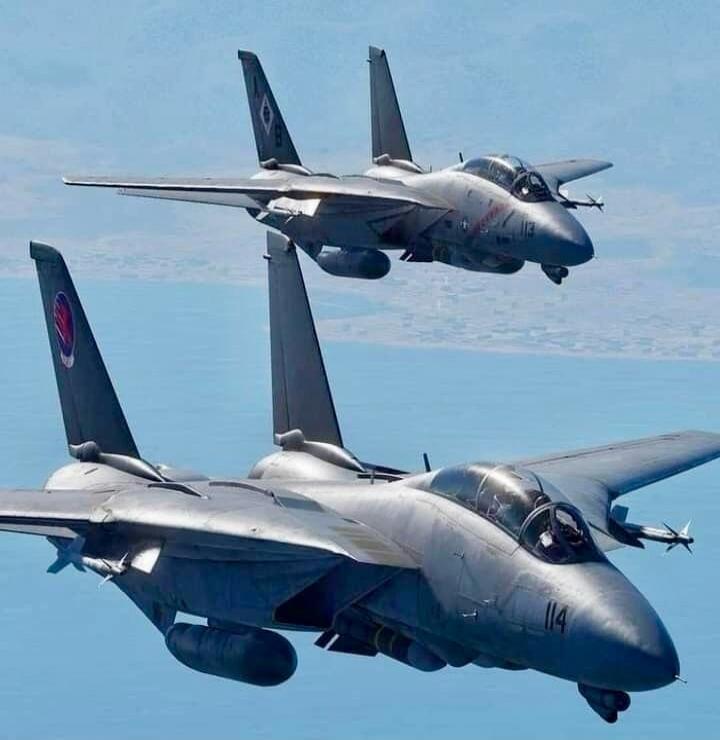 Two F-14 Tomcat fighter jets flying in formation. One jet has the number 114 on its nose, and the other has 113.