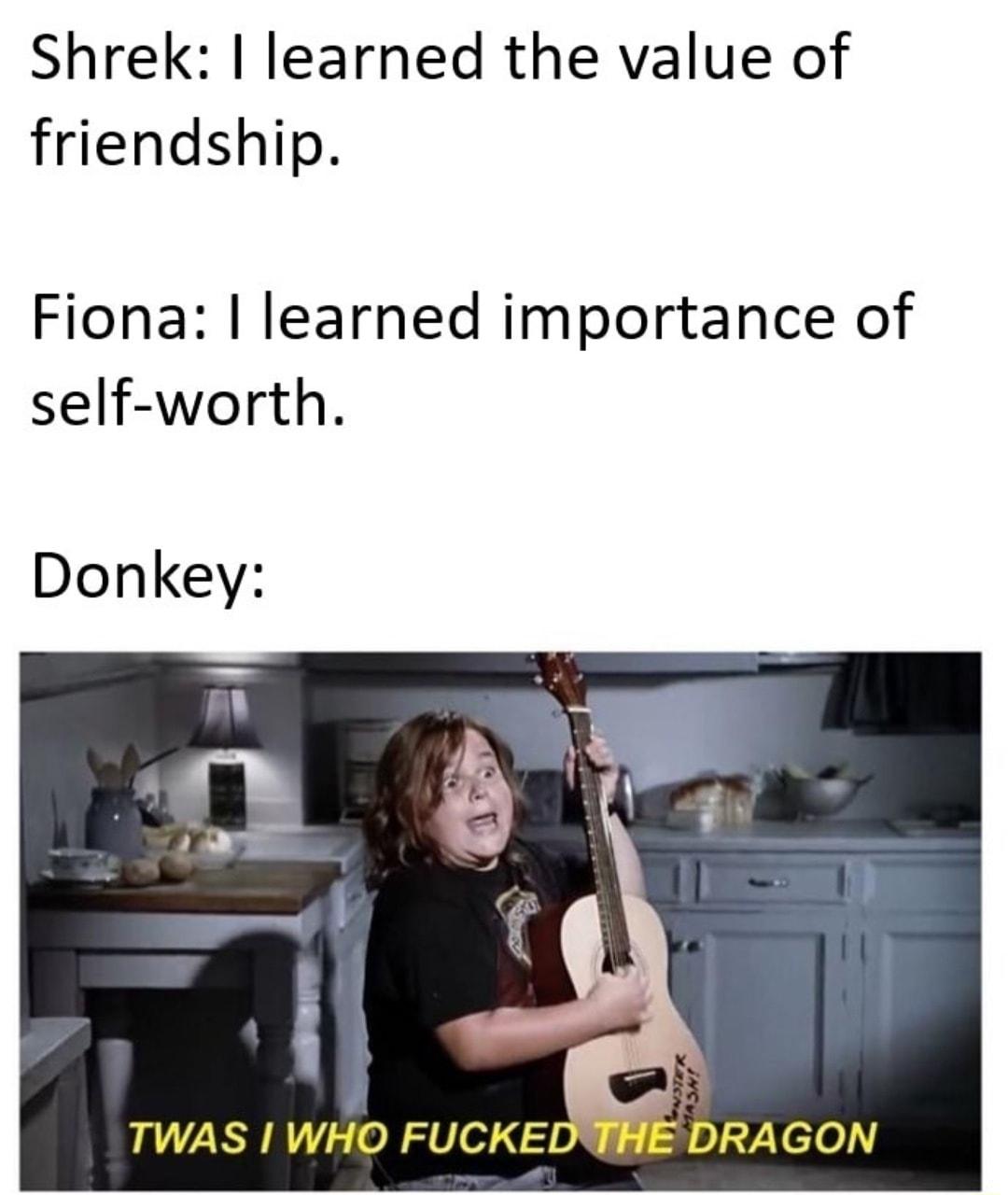 Shrek learned the value of friendship Fiona learned importance of self worth Donkey by TWAS WHO FUCKEI vXelel