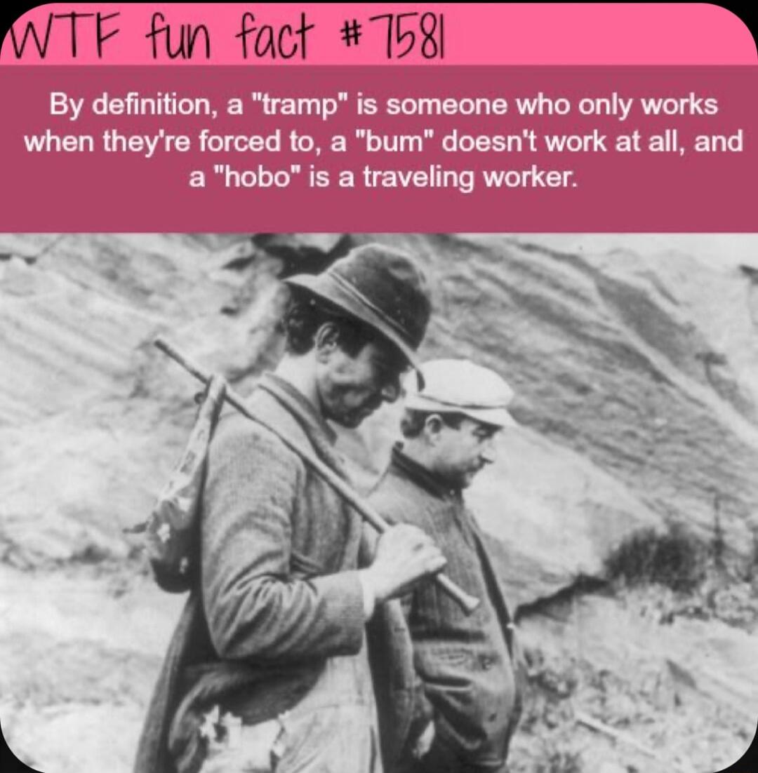 N TFE fun fact 7108 i