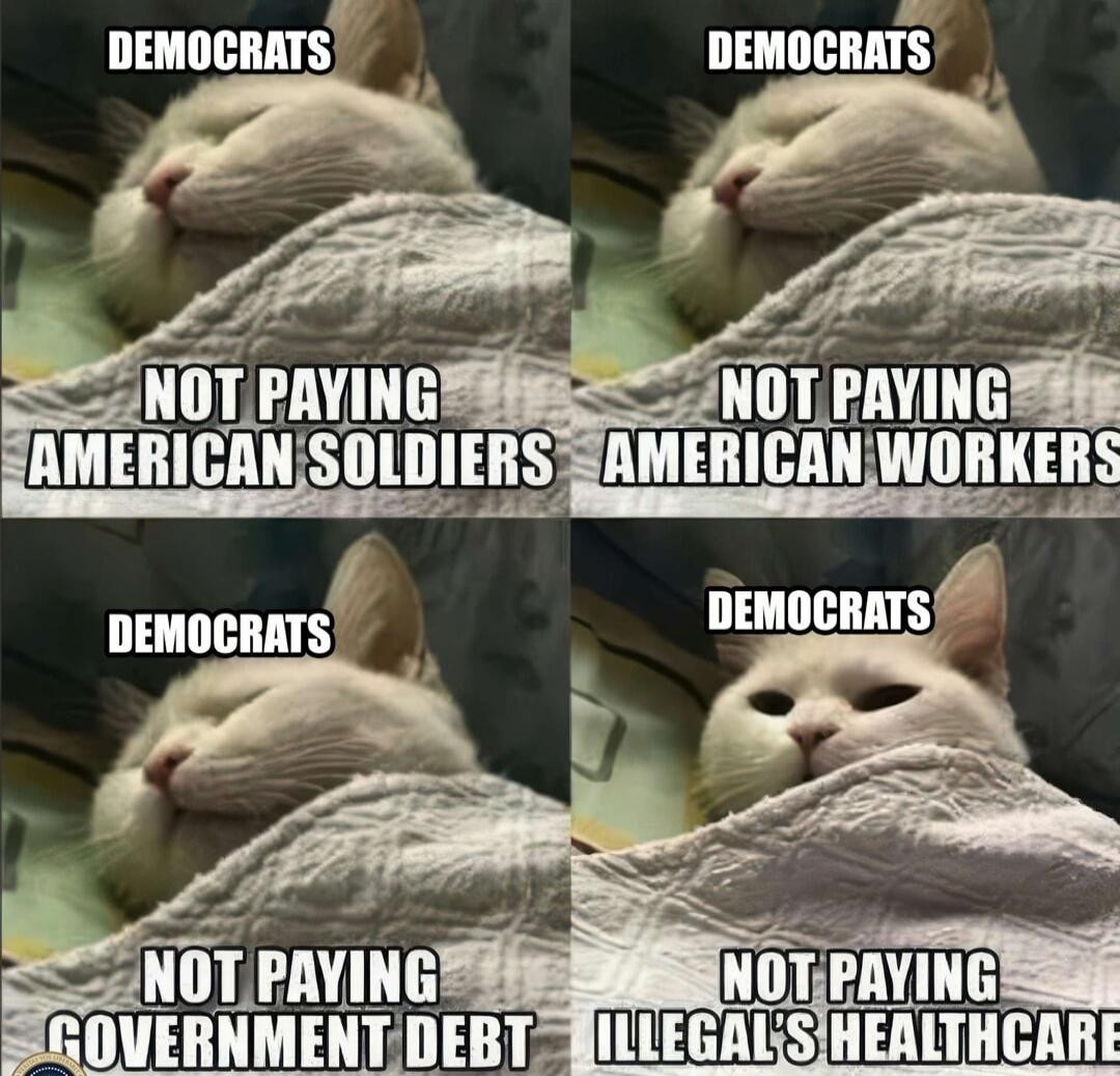 DEMOCRATS NOT PAYING AMERICAN SOLDIERS
DEMOCRATS NOT PAYING AMERICAN WORKERS
DEMOCRATS NOT PAYING GOVERNMENT DEBT
DEMOCRATS NOT PAYING ILLEGAL'S HEALTHCARE
