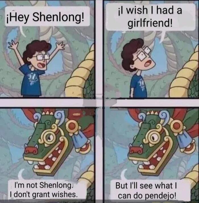 il wish I had a iHey Shenlong girlfriend Im not Shenlong But Ill see what dont grant wishes can do pendejo