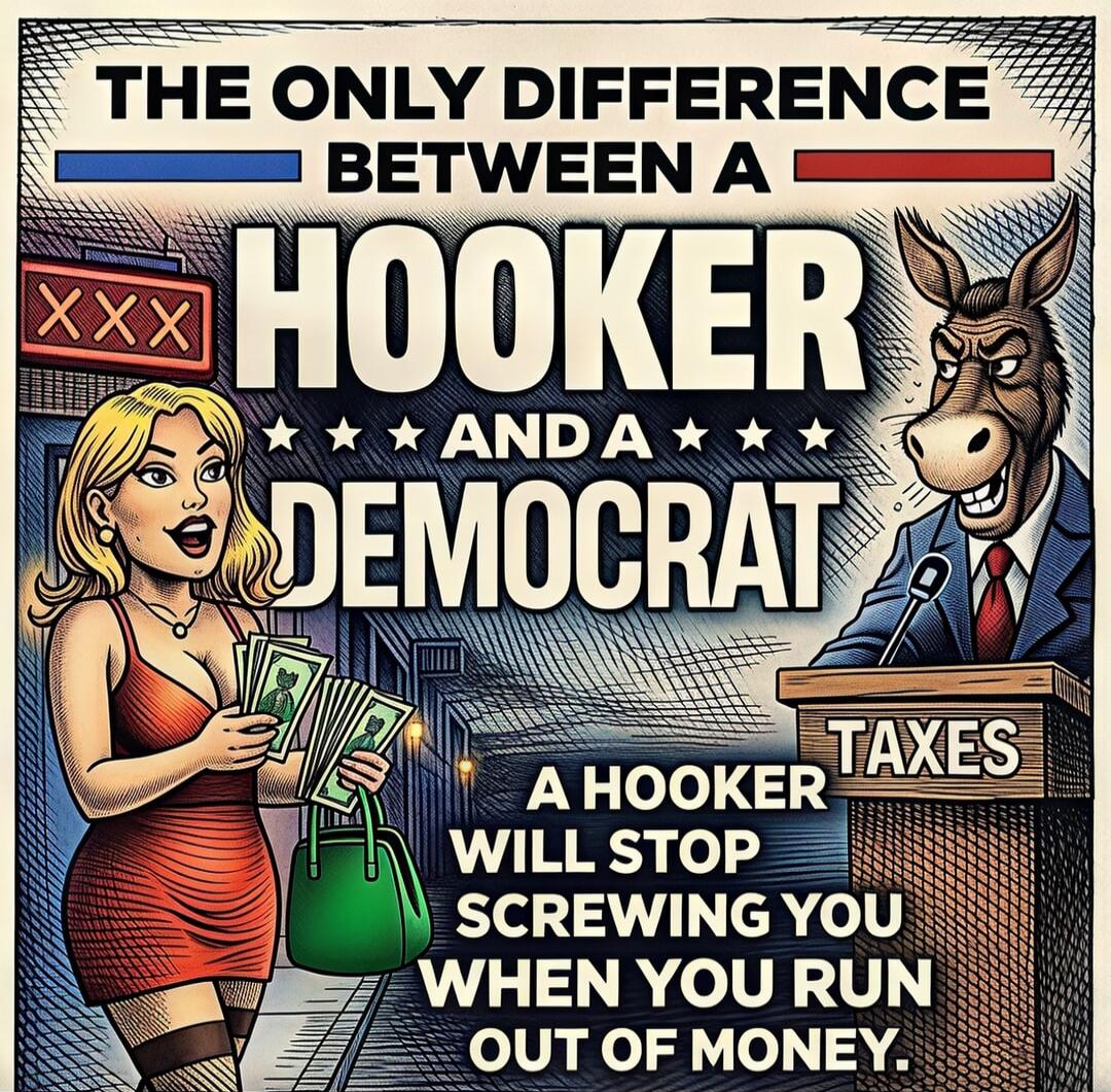 THE ONLY DIFFERENCE BETWEEN A HOOKER AND A DEMOCRAT A HOOKER WILL STOP SCREWING YOU WHEN YOU RUN OUT OF MONEY.