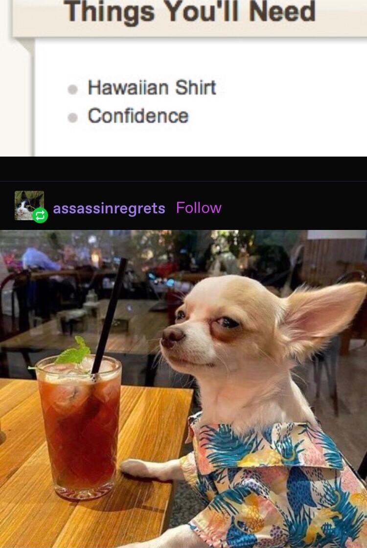 v ings You Hawaiian Shirt Confidence g assassinregrets Follow 7 B e Su