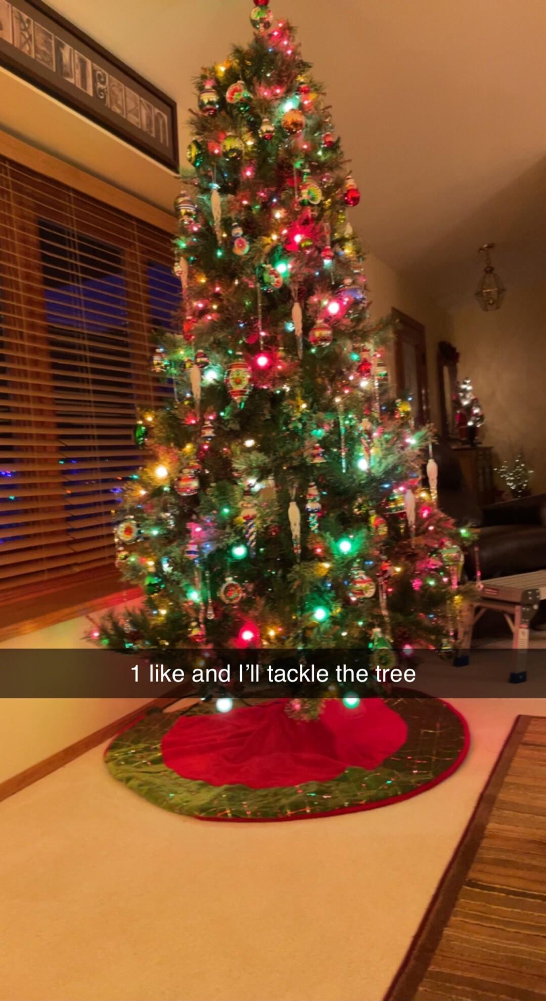 1 like and Ill tackle the tree