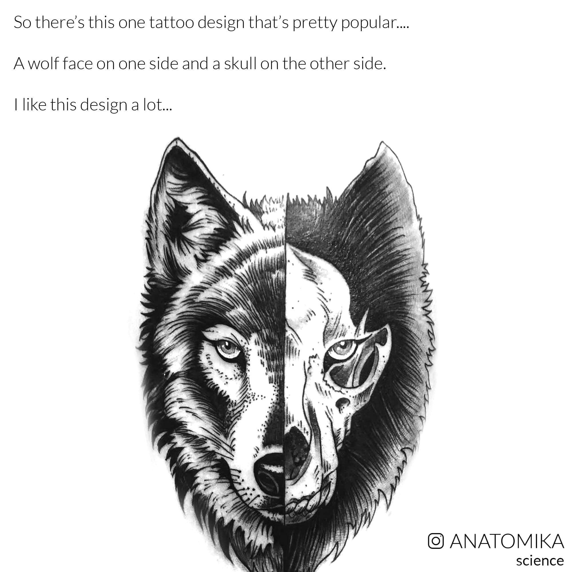 So theres this one tattoo design thats pretty popular A wolf face on one side and a skull on the other side like this design a lot ANATOMIKA science