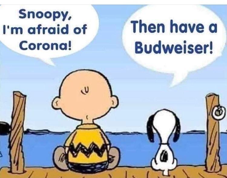 Snoopy Im afraid of Then have a Corona Budweiser