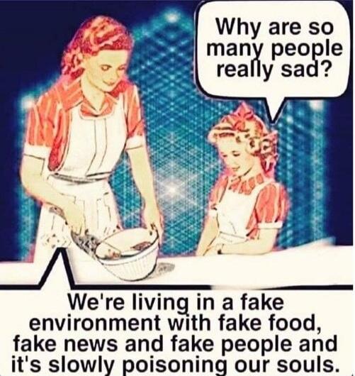 Why are so many people really sad? We're living in a fake environment with fake food, fake news and fake people and it's slowly poisoning our souls.