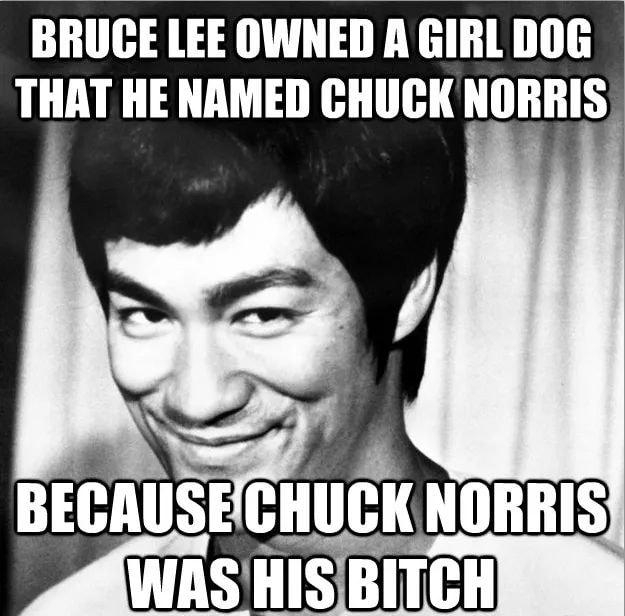 BRUCE LEE OWNED A GIRL DOG THAT HE NAMED CHUCK NORRIS