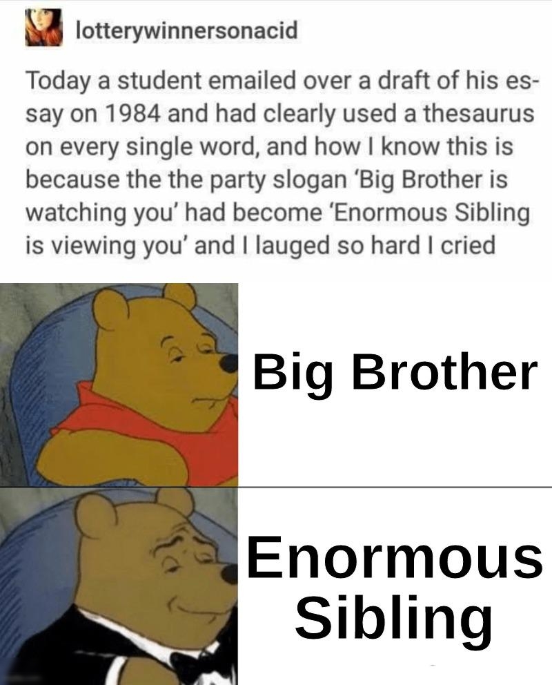 lotterywinnersonacid Today a student emailed over a draft of his es say on 1984 and had clearly used a thesaurus on every single word and how know this is because the the party slogan Big Brother is watching you had become Enormous Sibling is viewing you and lauged so hard cried Big Brother Enormous Sibling