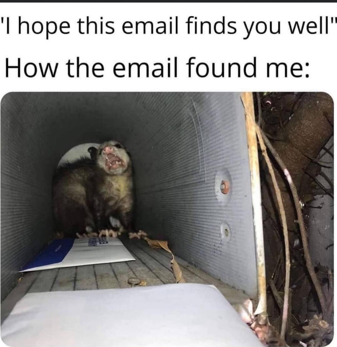 I hope this email finds you well How the email found me N