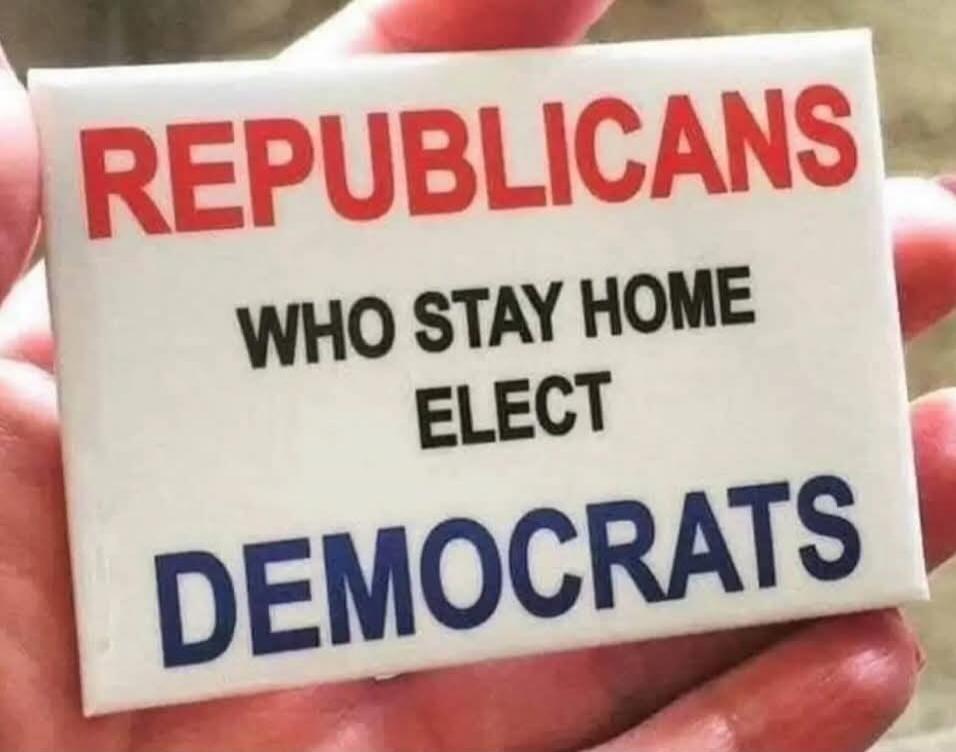 REPUBLICANS WHO STAY HOME ELECT DEMOCRATS