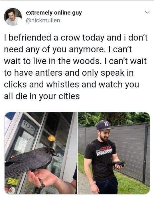 extremely online guy nickmullen befriended a crow today and i dont need any of you anymore cant wait to live in the woods cant wait to have antlers and only speak in clicks and whistles and watch you all die in your cities
