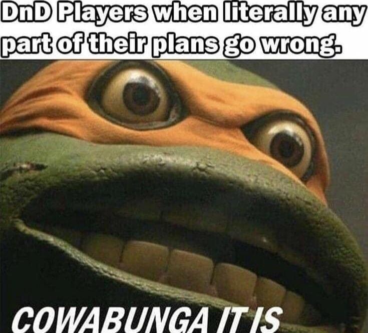 COWABUNGA ITIS