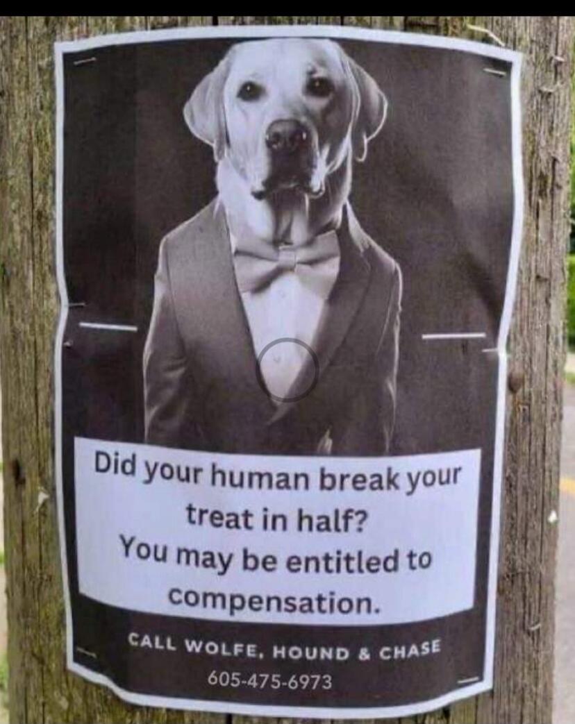 Did your human break your treat in half? You may be entitled to compensation. CALL WOLFE, HOUND & CHASE 605-475-6973