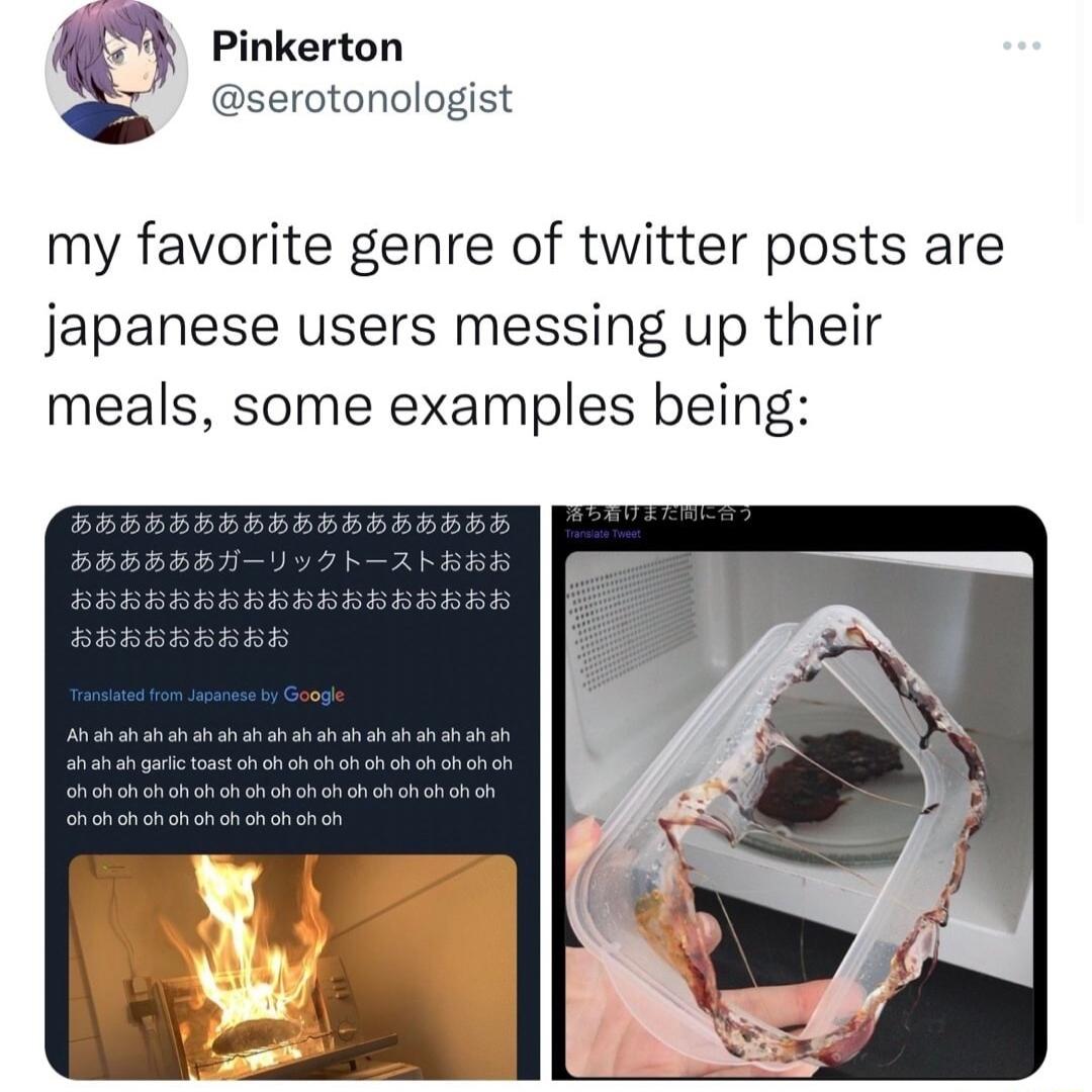 Pinkerton serotonologist my favorite genre of twitter posts are japanese users messing up their meals some examples being