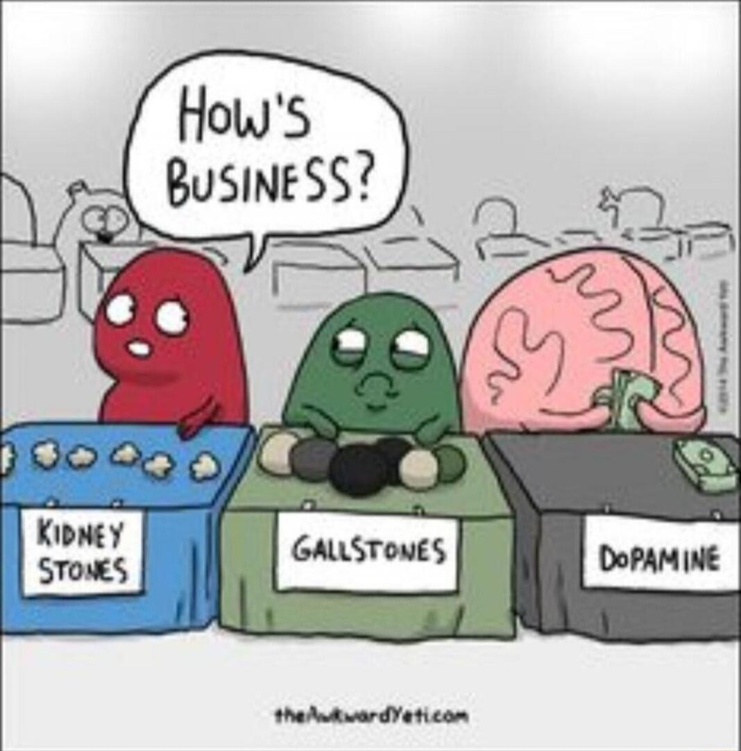 HOW'S BUSINESS?
KIDNEY STONES
GALLSTONES
DOPAMINE