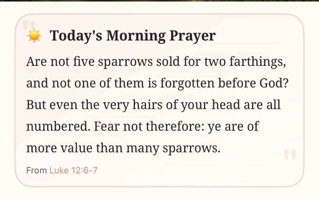 Today's Morning Prayer Are not five sparrows sold for two farthings, and not one of them is forgotten before God? But even the very hairs of your head are all numbered. Fear not therefore: ye are of more value than many sparrows. From Luke 12:6-7