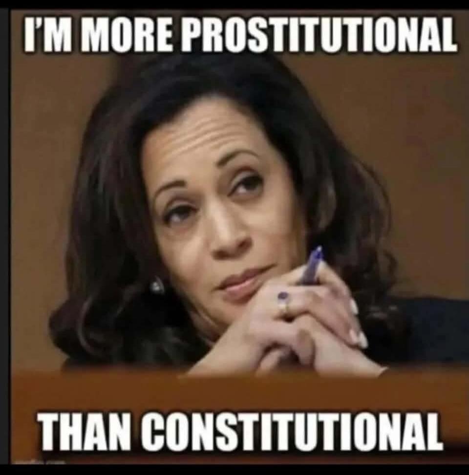 I'M MORE PROSTITUTIONAL THAN CONSTITUTIONAL