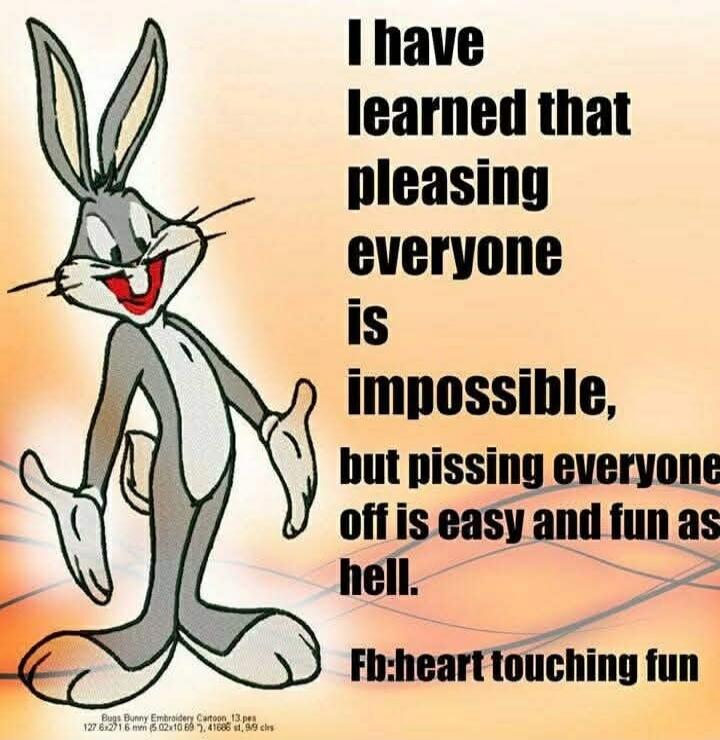 I have learned that pleasing everyone is impossible, but pissing everyone off is easy and fun as hell. Fb:heart touching fun