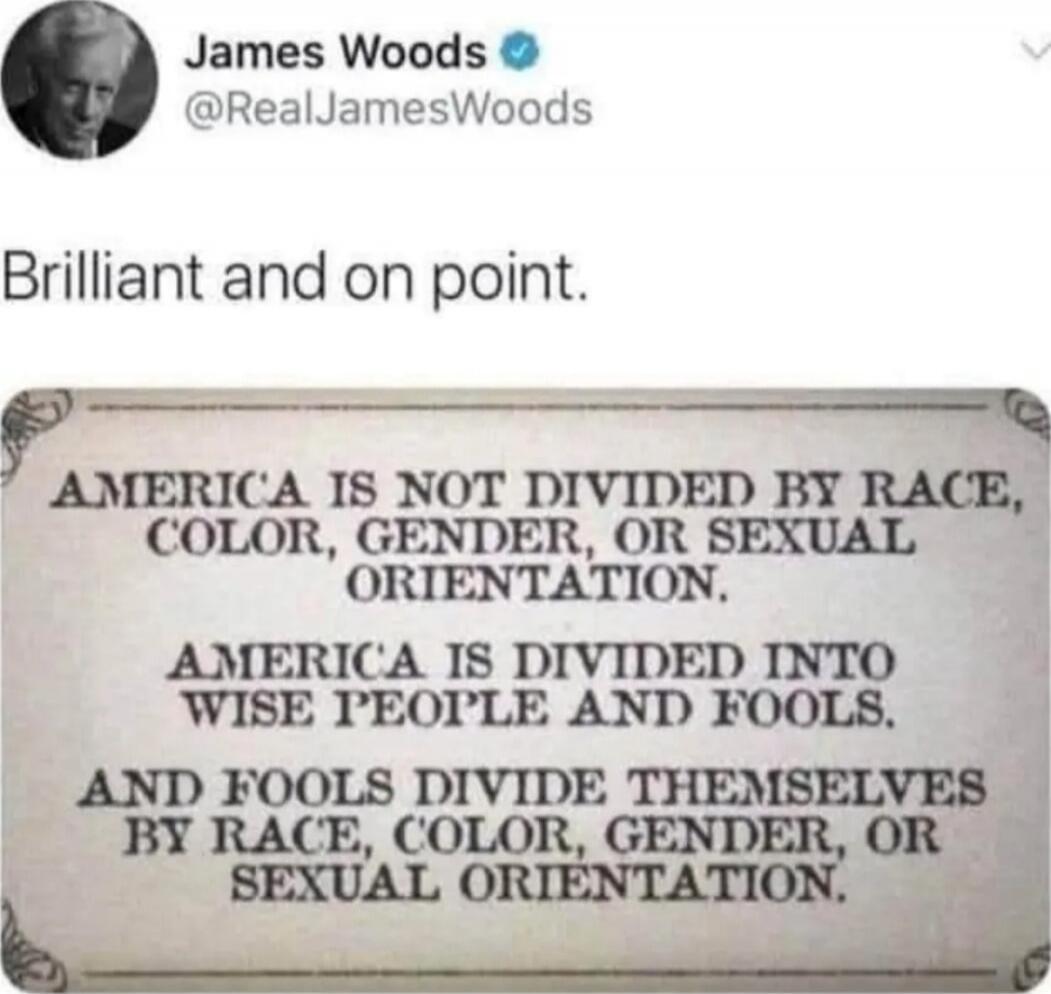 James Woods (@RealJamesWoods): Brilliant and on point. 

Image text: AMERICA IS NOT DIVIDED BY RACE, COLOR, GENDER, OR SEXUAL ORIENTATION. AMERICA IS DIVIDED INTO WISE PEOPLE AND FOOLS. AND FOOLS DIVIDE THEMSELVES BY RACE, COLOR, GENDER, OR SEXUAL ORIENTATION.