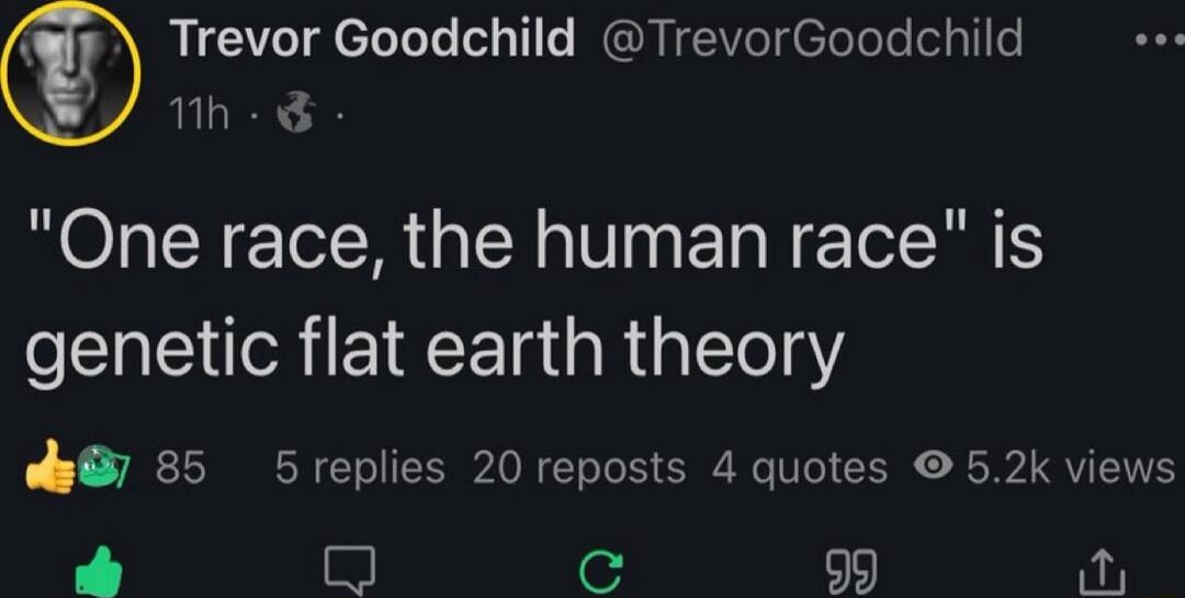 Trevor Goodchild TrevorGoodchild 1h One race the human race is genetic flat earth theory 85 5replies 20 reposts 4 quotes 52k views oy O C 99 O