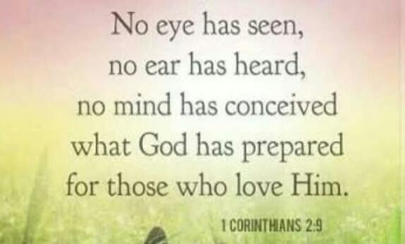 No eye has seen, no ear has heard, no mind has conceived what God has prepared for those who love Him. 1 Corinthians 2:9