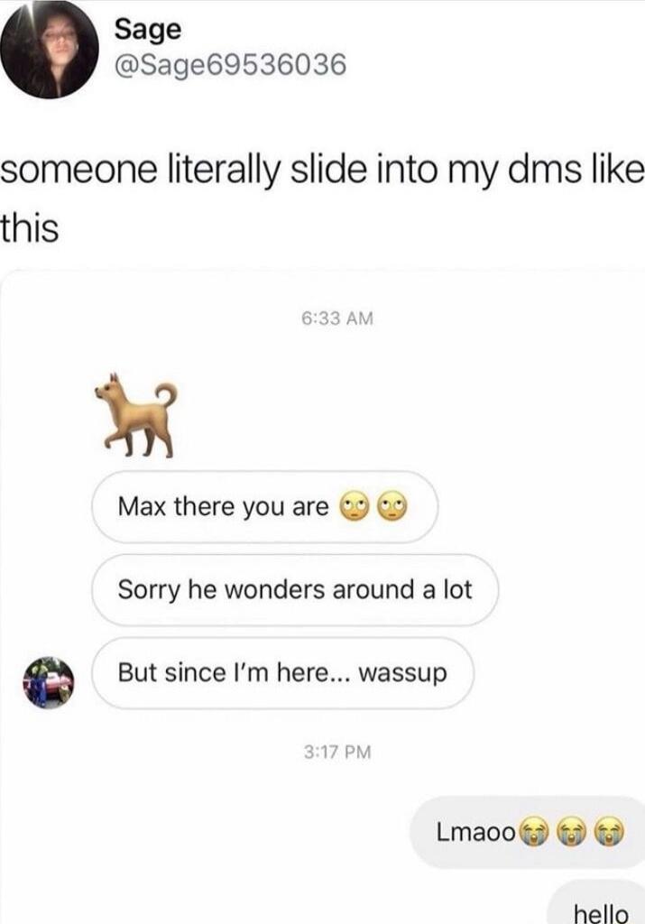someone literally slide into my dms like this

🐶 (dog emoji)
Max there you are 😳😳
Sorry he wonders around a lot
But since I’m here... wassup

Lmaoo 😵😵😵
hello