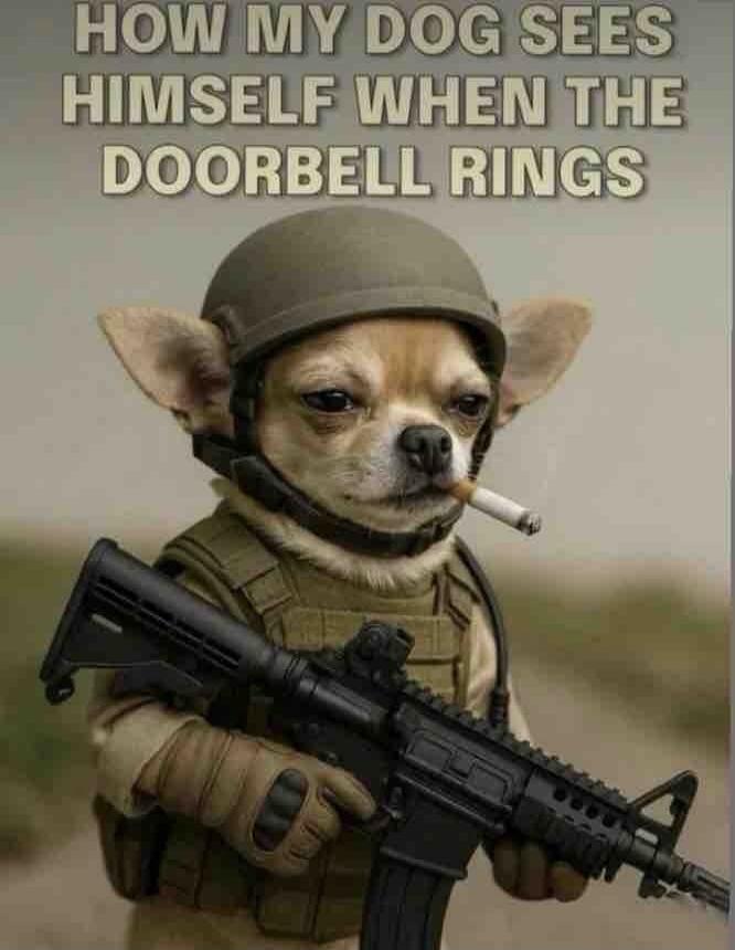 HOW MY DOG SEES HIMSELF WHEN THE DOORBELL RINGS