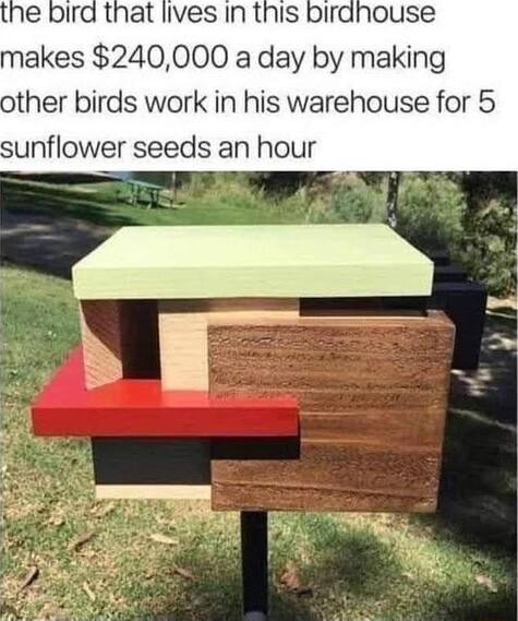 makes 240000 a day by making other birds work in his warehouse for 5