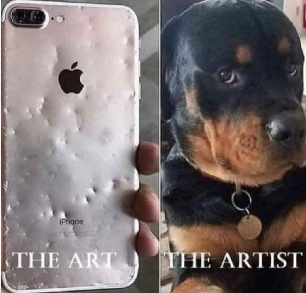 iPhone THE ART THE ARTIST