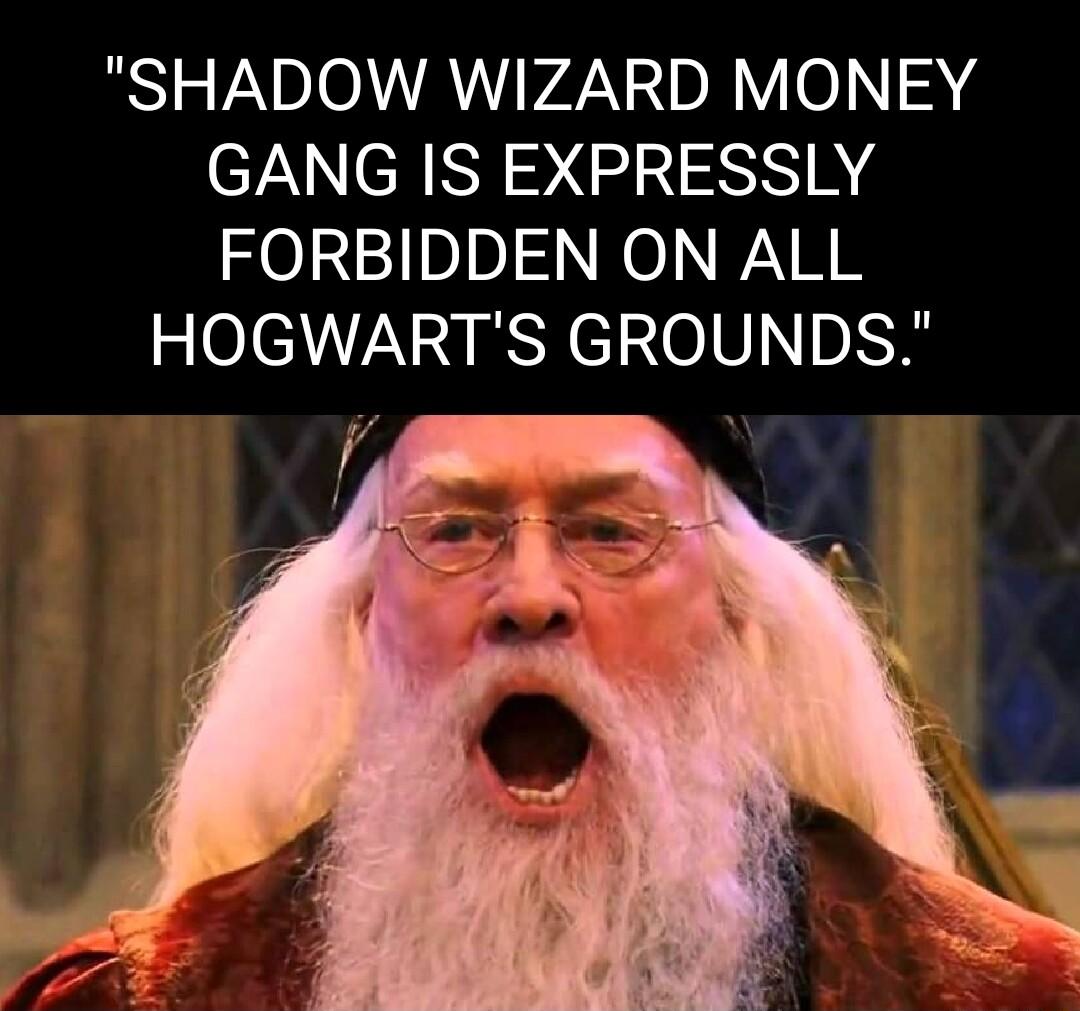SHADOW WIZARD MONEY GANG IS EXPRESSLY FORBIDDEN ON ALL HOGWARTS GROUNDS
