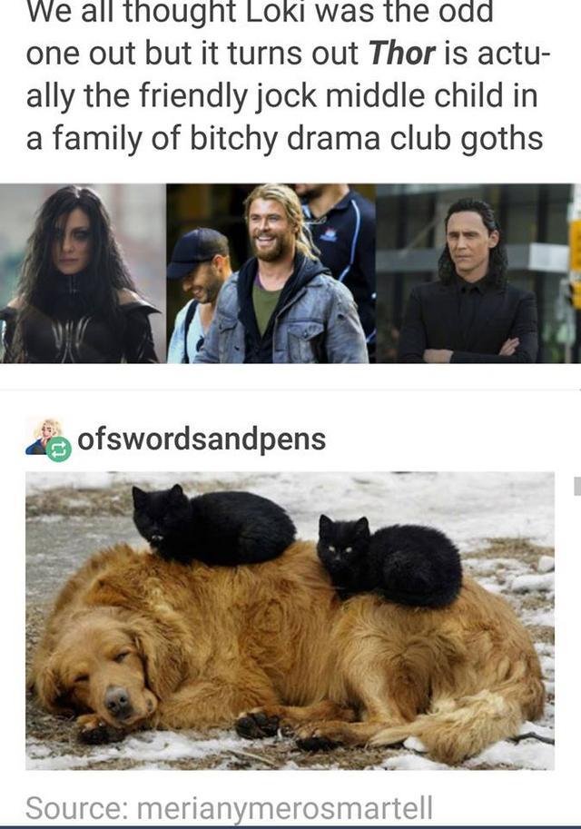 VWe all thougnt LOKI was the oad one out but it turns out Thor is actu ally the friendly jock middle child in a family of bitchy drama club goths