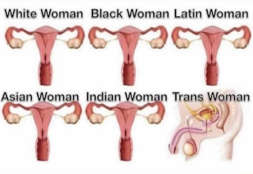 White Woman       Black Woman       Latin Woman
Asian Woman       Indian Woman       Trans Woman