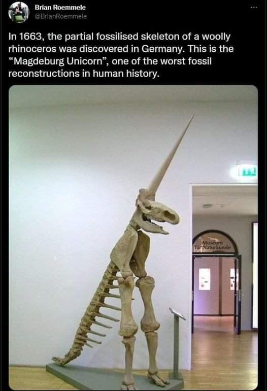 a Brian Roemmele In 1663 the par ACESTEEL G GL T ERTLLT rhinoceros was discovered in Germany This is the Magdeburg Unicorn one of the worst fossil reconstructions in human history