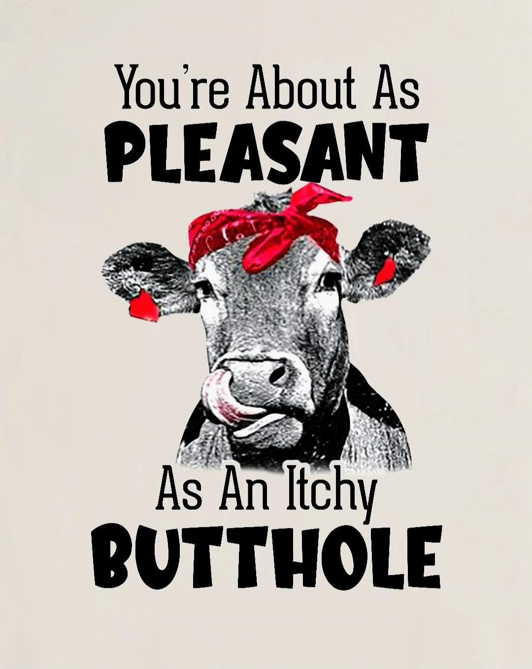 You're About As PLEASANT As An Itchy BUTTHOLE