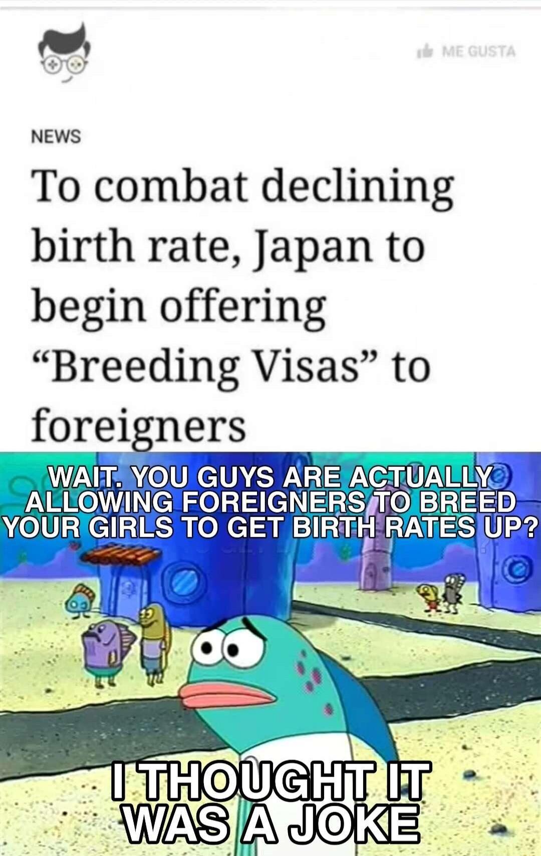 NEWS To combat declining birth rate Japan to begin offering Breeding Visas to foreigners