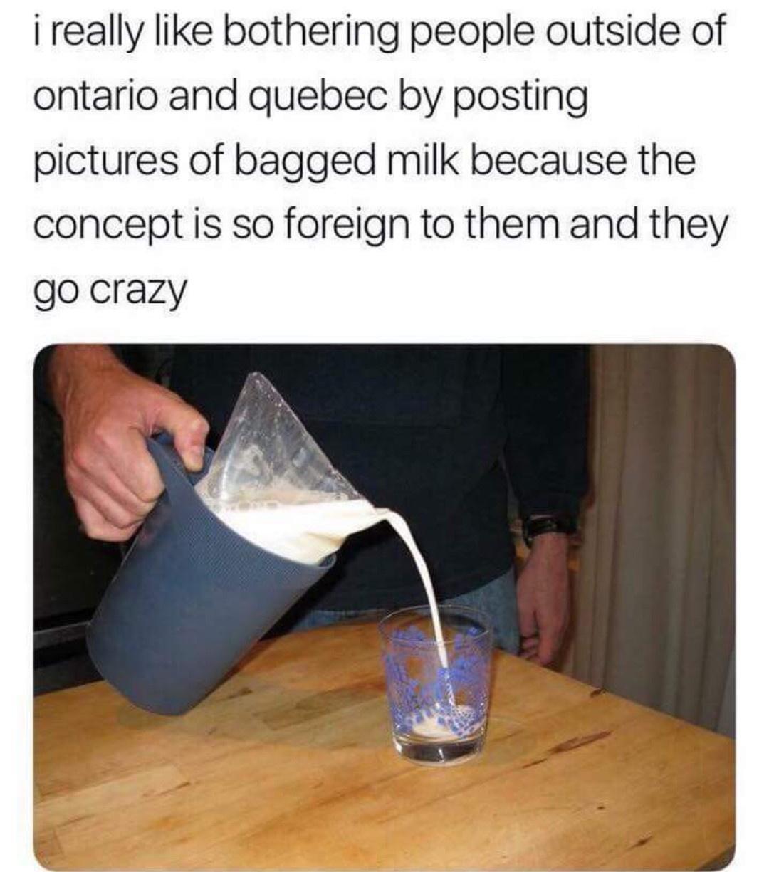 i really like bothering people outside of ontario and quebec by posting pictures of bagged milk because the concept is so foreign to them and they go crazy