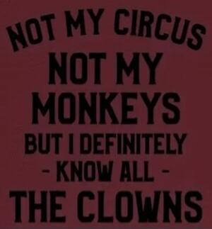 NOT MY CIRCUS NOT MY MONKEYS BUT I DEFINITELY - KNOW ALL - THE CLOWNS