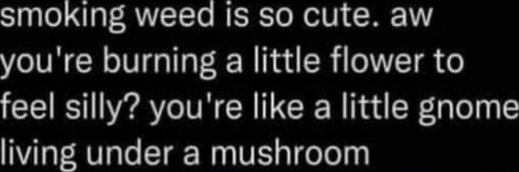 STpale1aT RNTTTo RESEo N ol V H 1 youre burning a little flower to feel silly youre like a little gnome living under a mushroom